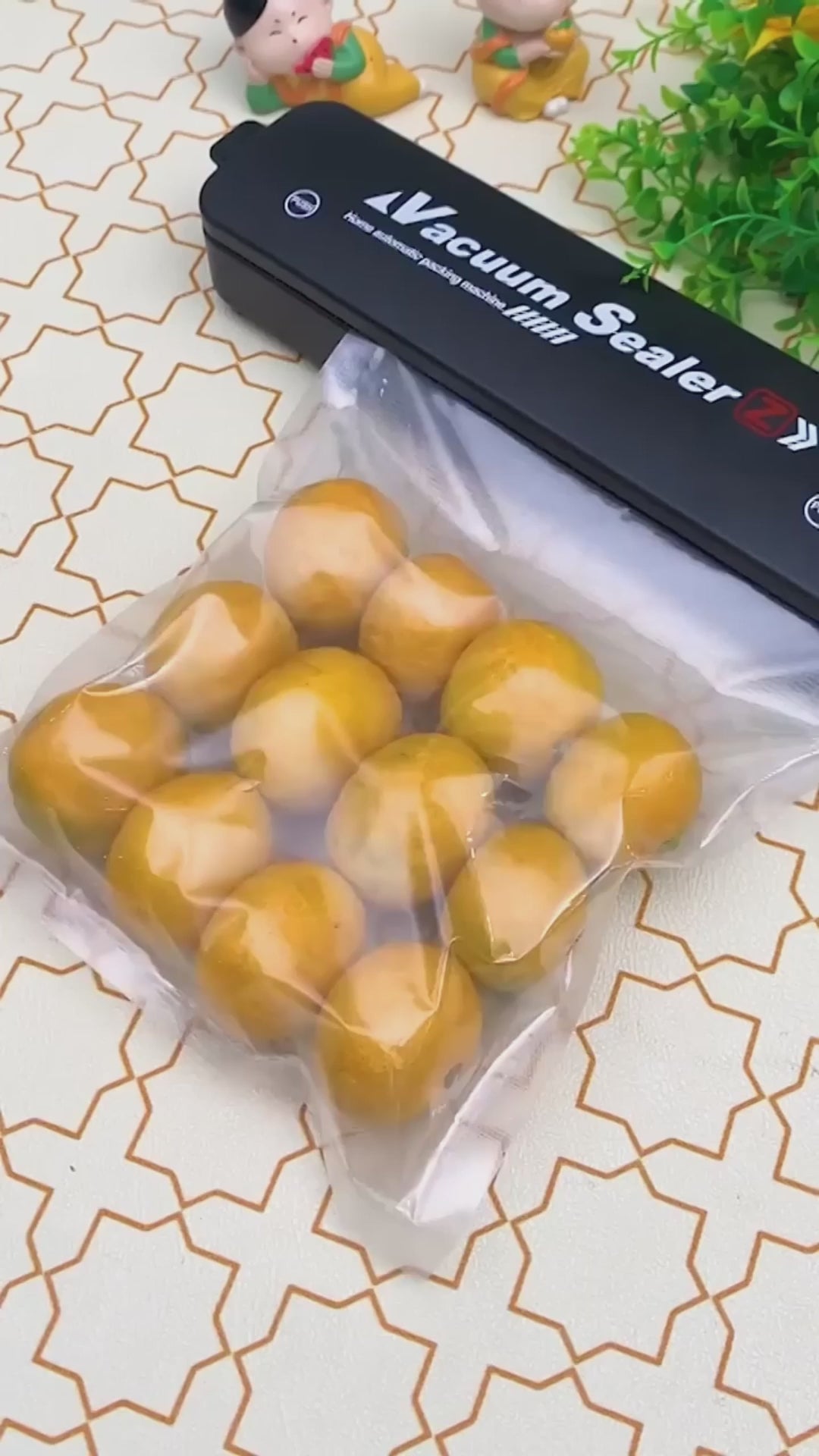 Aparat de Sigilat si Vidat Pungi, Vacuum Sealer